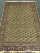 Bokhara green ground carpet, geometric patterned field, repeating border,