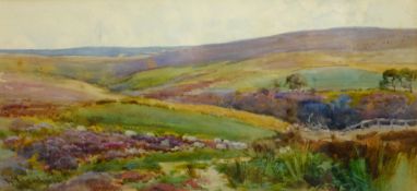 Moorland Landscape,