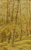 Woodland Scene,