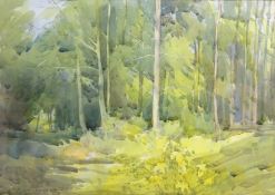 'Sandal Beat Wood', watercolour signed by David Jan Curtis (British 1948-) and dated '81,