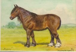 'Bonny', Portrait of a Horse,