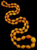 Graduating amber bead necklace Condition Report Approx 122gm,