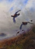 Peter Allis (British 1944-): Driven Grouse in a Moorland Mist,