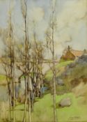 James Watson (Staithes Group 1851-1936): 'Amongst the Birches',