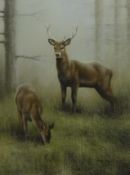 John Naylor (British 1960-): Stag and Doe in Woodland, pastel signed and dated 2002,