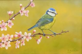 Robert E Fuller (British 1972-): 'Blue Tit on Cherry Blossom', oil on board signed and dated 2009,