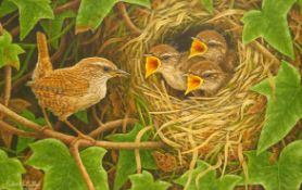 Robert E Fuller (British 1972-): 'Wren and Chicks', oil on board signed and dated 2013,