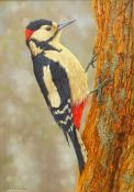 Robert E Fuller (British 1972-): 'Woodpecker at Fotherdale', oil on board signed and dated 2009,