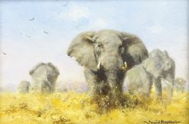 David Shepherd (British 1931-2017): African Elephants, oil on canvas signed,