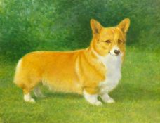 Walter Goodin (British 1907-1992): Study of a Welsh Corgi, oil on board signed and dated 1987,