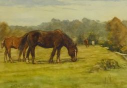 James William Booth (Staithes Group 1867-1953): Horses Grazing - 'Wrench Green Hackness',