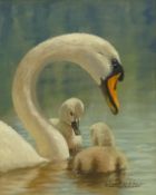 Alan Bradshaw (Irish 1936-): 'Swan and Cygnets',