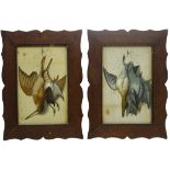 Pair 19th century embossed prints depicting hanging game birds in the Trompe L'oeil style,