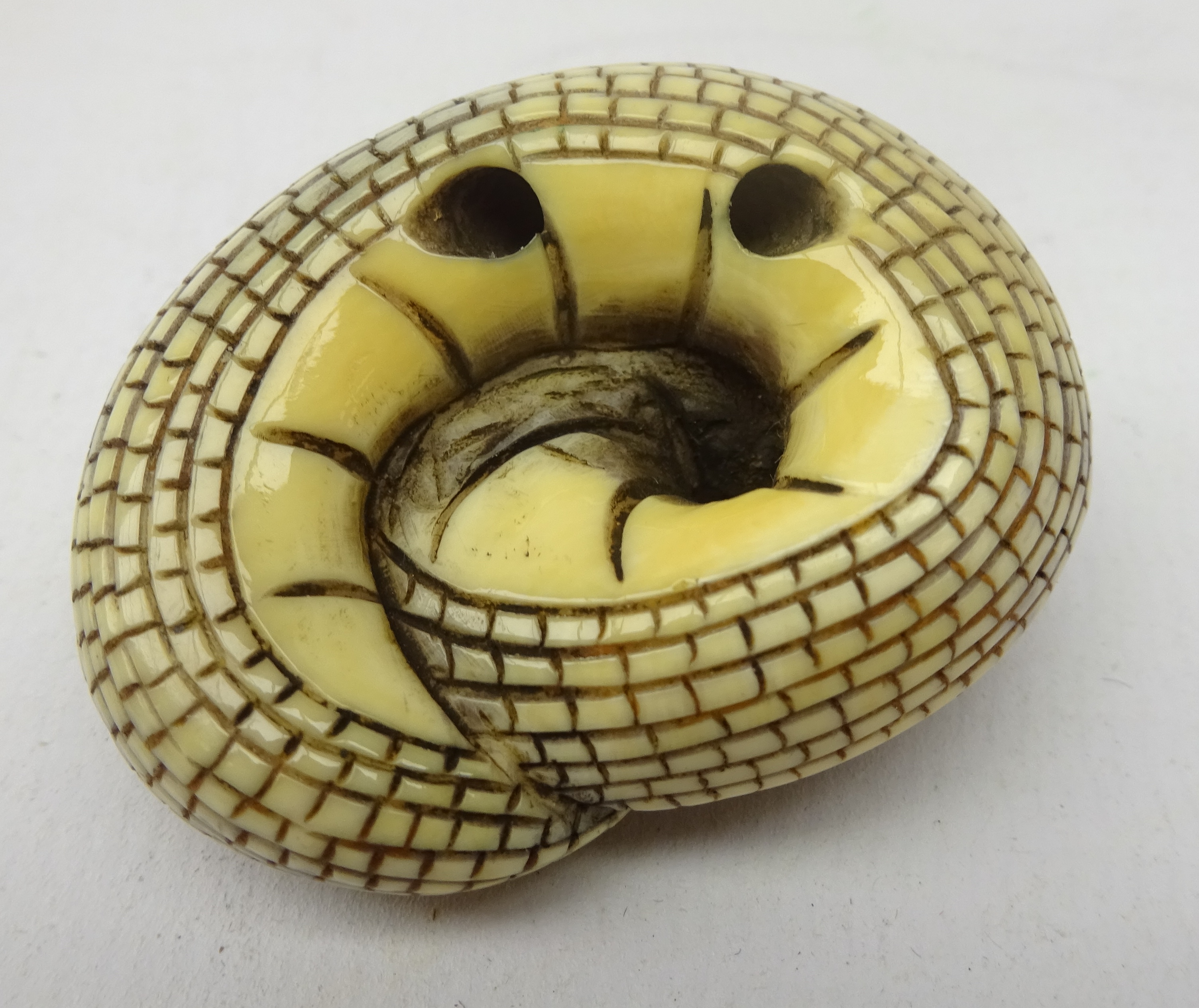 Japanese Meiji ivory Netsuke in the form of a coiled Cobra Snake, L4. - Image 4 of 4