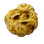Japanese Meiji ivory Netsuke carved as a Snail on a Pumpkin, D3.
