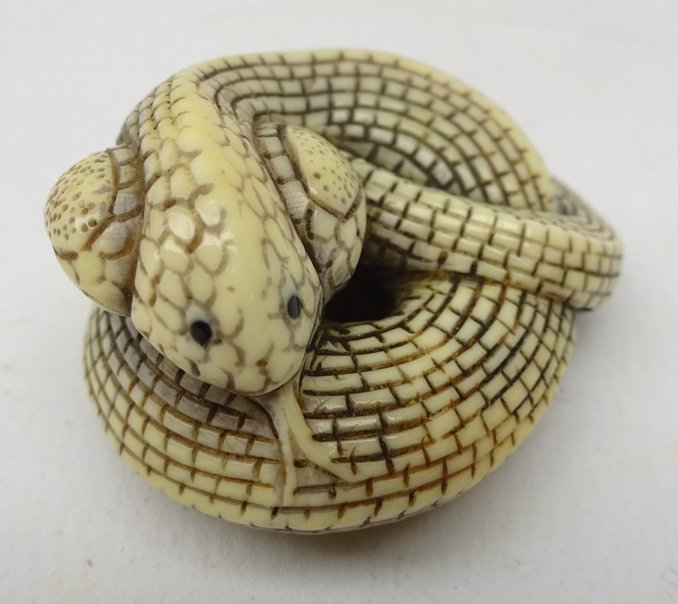 Japanese Meiji ivory Netsuke in the form of a coiled Cobra Snake, L4. - Image 2 of 4