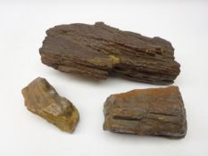 Three sections of petrified wood,