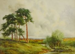 Moorland with Pine Trees,