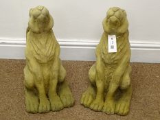 Pair composite stone seat hare garden figures,