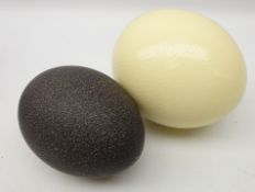 Ostrich and Emu egg shells,