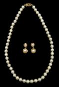 Single strand cultured pearl necklace, with gold clasp and pair of gold pearl pendant earrings,