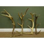 Pair of six point Elk antlers,