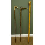 Two thorn walking sticks with Stag horn handles and an Alpine walking stick,