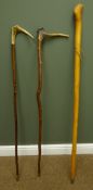 Two thorn walking sticks with Stag horn handles and an Alpine walking stick,