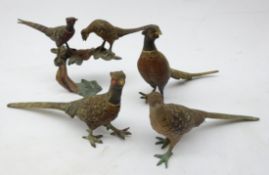 Four Austrian cold painted bronze Pheasants, three single and two perched on a branch,