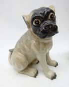 Seated model of a Pug in grey crackle glaze,