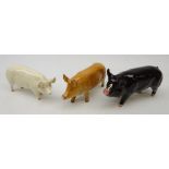 Three Pig models: Beswick CH Wall Queen 40 & Berkshire Boar 4118 and Royal Doulton Tamworth Brown