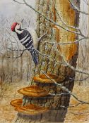 George Vernon Stokes (British 1873-1954): Jay Birds on a Branch,