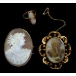 Gold mounted cameo brooch, Victorian gold mounted mounted mourning brooch,