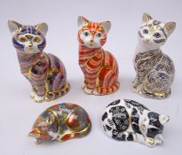 Five Royal Crown Derby Cat paperweights: Majestic Cat, limited edition 137/3500, Cat Nip Kitten,