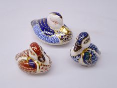 Three Royal Crown Derby paperweights, Duck dated 1987, gold stopper and two Ducklings,