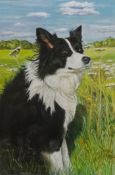 Portrait of a Sheepdog,