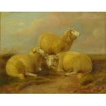 T S Cooper (British 1803-1902): Sheep in open Landscape,