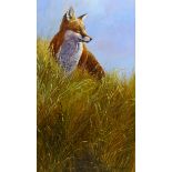 Stephen Cummins (British 1943-): Fox Alerted,