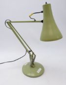 Anglepoise pastel green desk lamp