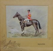 'Agrippa' - Racehorse Portrait with rider up,