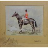 'Agrippa' - Racehorse Portrait with rider up,