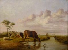 Cattle and Sheep next to a Rural River,