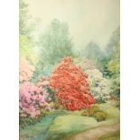 William John CAPARNE (1856-1940) Rhododendrons and Azaleas Watercolour Signed 76 x 55cm