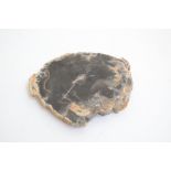 A polished slice of fossil wood - Madagascar Approximate diameter 8cm, 94.