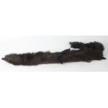 A dark brown muskrat fur ladies' stole, full length 46cm.