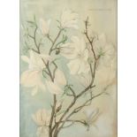 A watercolour by Marcus Adams 'Flowering Magnolia Buds', signed and dated 1945 and 1953, 48 x 35cm.