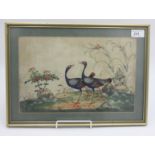 A Chinese rice paper painting of two exotic birds, circa 1900, 21.5 x 32.8cm.