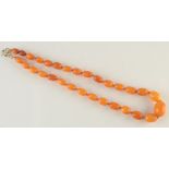 A butterscotch amber graduated bead necklace, 37.5g.