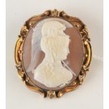 A carved shell cameo brooch depicting a female warrior in ornate scrolling gold mount.