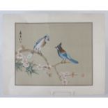 A early 20th century Japanese watercolour on silk of two exotic birds on a flowering branch,